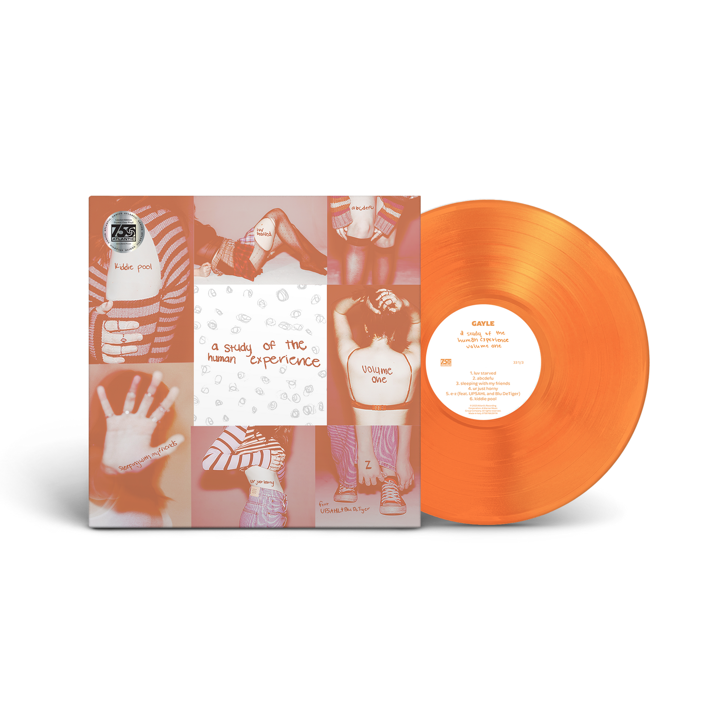 a study of the human experience volume one and two vinyl